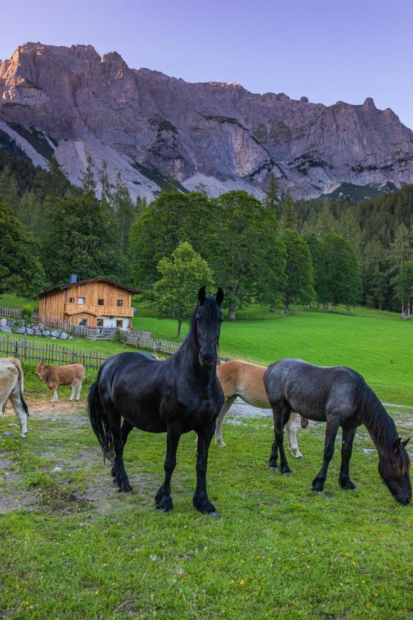 Holzerjuwel - Minzlhof Ramsau Am Dachstein Villa Buitenkant foto